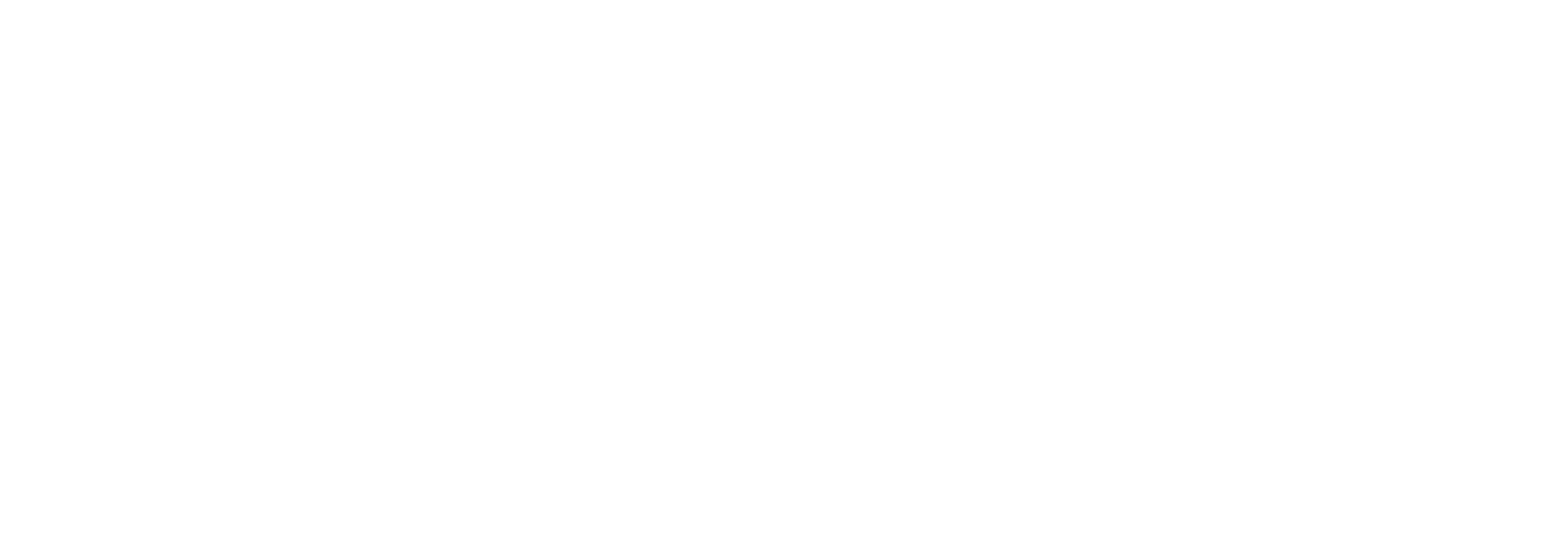 Wordpress icon